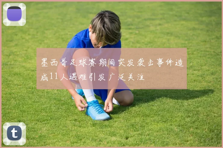 墨西哥足球赛期间突发袭击事件造成11人遇难引发广泛关注