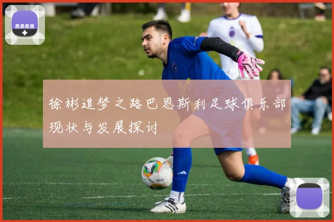 徐彬追梦之路巴恩斯利足球俱乐部现状与发展探讨